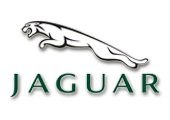 Jaguar Jaguar